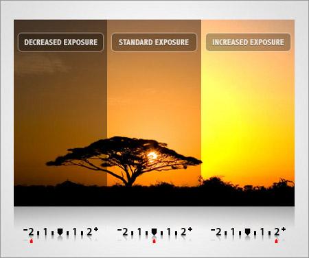 Exposure On cameras, exposure (shutter speed, aperture, ISO) has a multiplicative effect on the values recorded by the sensor.