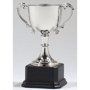 #259 Trophy Cup