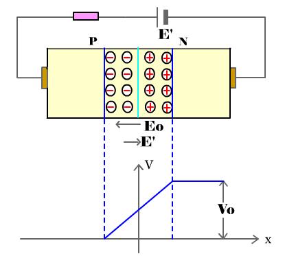 5.1 The Physical Principles of Semiconductor PN Junction Forward bias: apply a positive voltage to the P-type, negative to N-type.