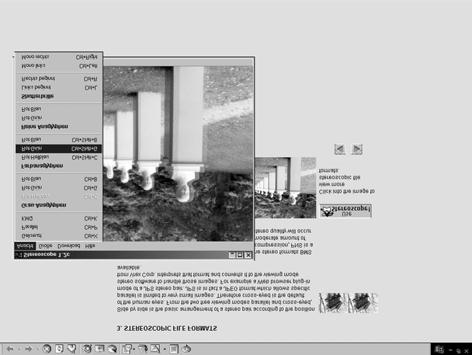 Figure 12 demonstrates the use of the Java applet stereoscope. The stereo image will be calculated upon request client sided. The server provides the left and right image.