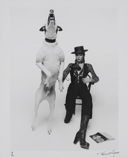 Promotional photograph of David Bowie for Diamond Dogs, 1974.