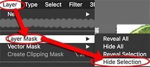 Range, Quick Selection tool, or various lassos. When you have a good selection, go under the Layer menu and add a mask that will Hide Selection.