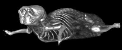 Scanner (MicroCAT II, 2014) Figure 3.
