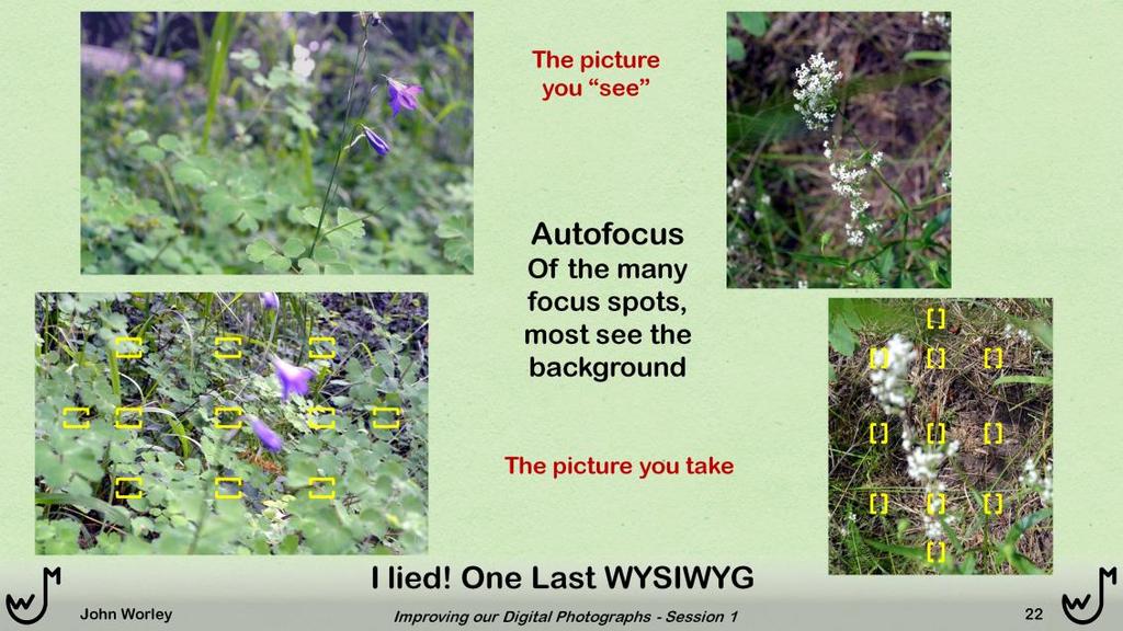 Autofocus can sometimes be a headache. The camera has fixed locations around the image where it will focus.