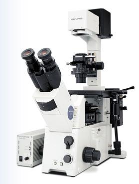 Conventional (Far-Field ) Optical Microscopy Optical Microscope Robust and reliable High throughput Non-invasive Low Cost
