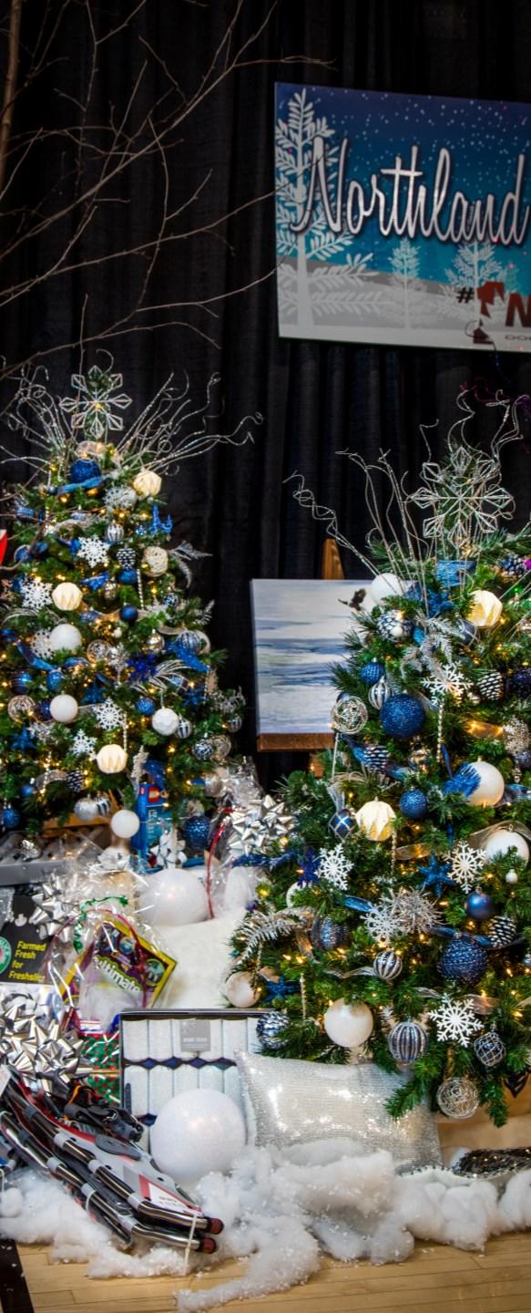 2017 Festival of Trees Big Tree Sponsorship Options Tree Sponsorship Package A 7.5 Tree, Sponsor provides a Designer The sponsor provides a design team and directly underwrites the decorating budget.