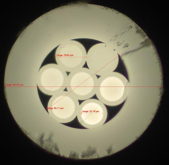 Fig. 13: Microscopic view of the fiber bundle (left). Near-field view on CCD camera (right; one port not operating). References [1] Witte, U., Rubel, D., Traub, M., Hamann, M., Hengesbach, S.