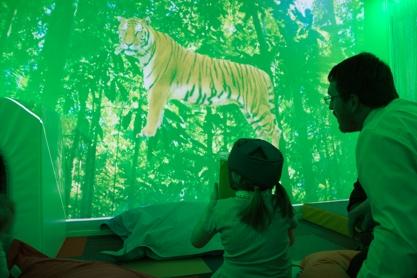 These themes are interactive to the user by controlling light, sound, pictures and video to change the sensory room all at the same time.