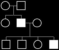 Pedigree Analysis Introduction A pedigree is a diagram of family relationships that uses symbols to represent people and lines to represent genetic relationships.