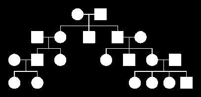 If the pedigree cannot fit a mode of inheritance, tell why. Pedigree A Pedigree B Questions 11 through 16- Answer with either "yes" or "no.