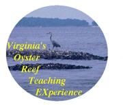 VORTEX Virginia s Oyster Reef Teaching EXperience An Educational Program for Virginia Science Educators What is VORTEX?