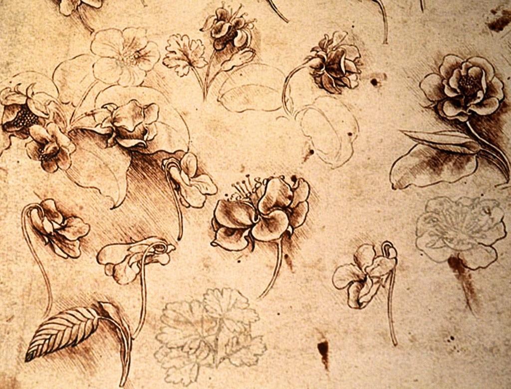 The Art of Leonardo da Vinci s Journals Leonardo da Vinci was a brilliant man eager to learn as much as possible about the world around him.