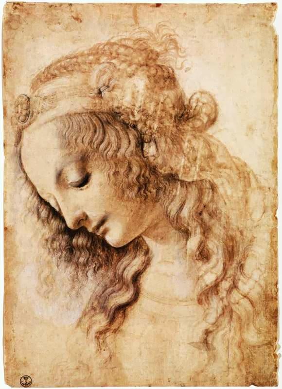 Leonardo took many notes alongside his drawings as he