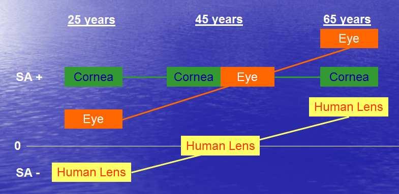 Optical system The abberations of the natural human lens change during life.