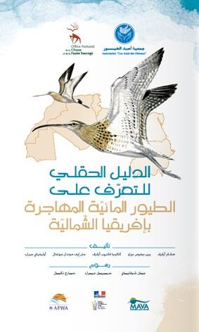 Responses Egg collection & Persecution 2014/2015 Study on Illegal Bird Killing (BLI & AAO), development of monitoring protocole (AAO), awareness raising (AAO, AZHST) Size, capacity and coordination