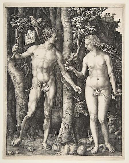 The Northern Renaissance, an introduction Albrecht Dürer, Adam and Eve, 1504, engraving, fourth state, 25.