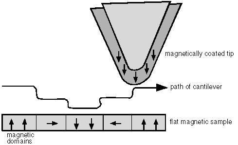 AFM System Diagram In non-contact mode, the system vibrates a stiff cantilever near its resonant frequency (typically from 100 to 400 khz) with an amplitude of a few tens of angstroms.