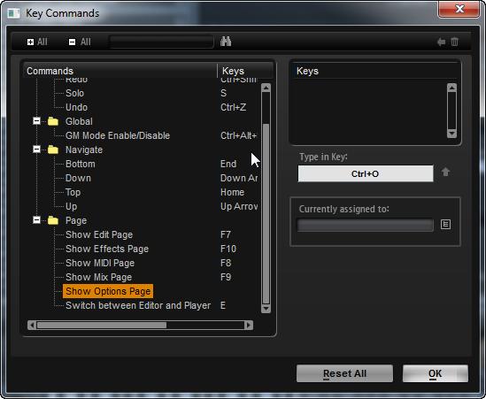 Global Functions and Settings Options Page General MIDI Mode Activate this to play back MIDI files that have been arranged for General MIDI sound sets.