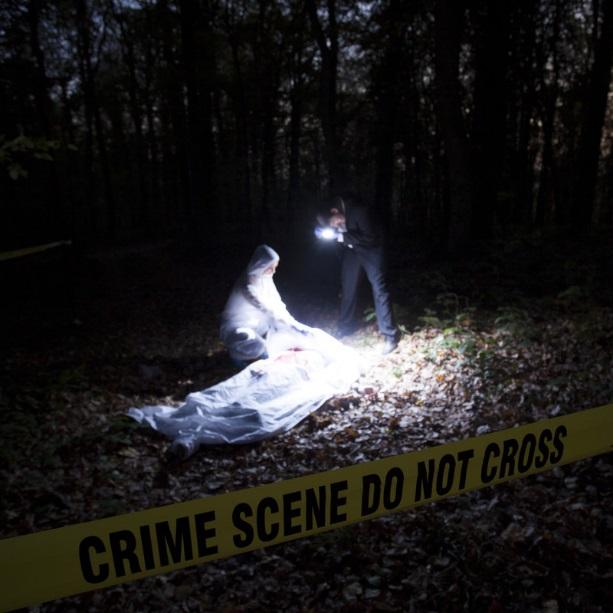 Figure 1: A medical examiner and a photographer at an outdoor crime scene.
