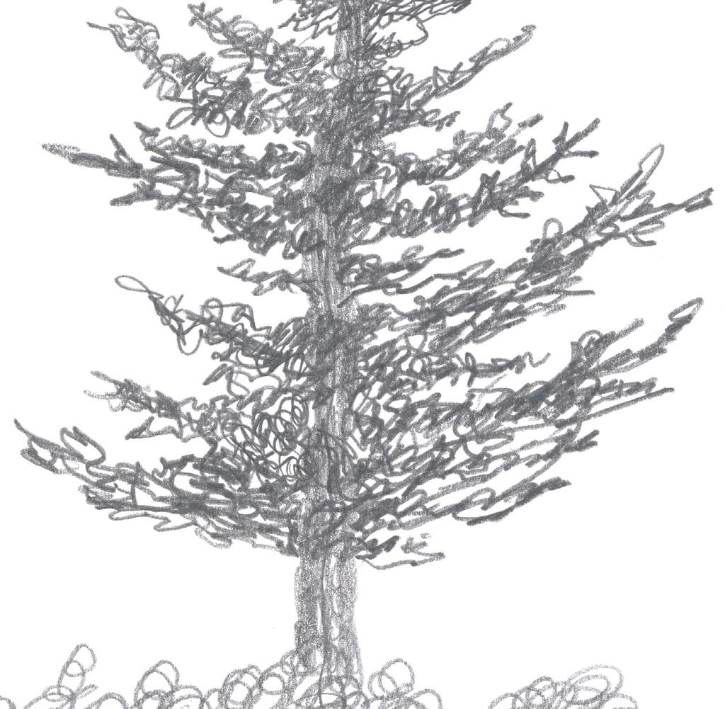 6. Add larger branches to the bottom section of the tree (Figures 10 and 11).