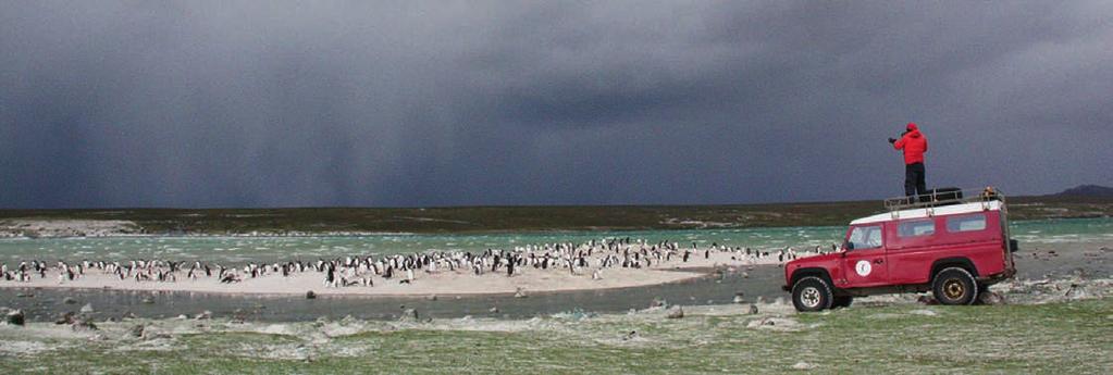 A storm brewing for penguins Julie McInnes Here a Falklands Conservation penguin counter gets elevation on the roof to count gentoo penguins. Read more on page 4.