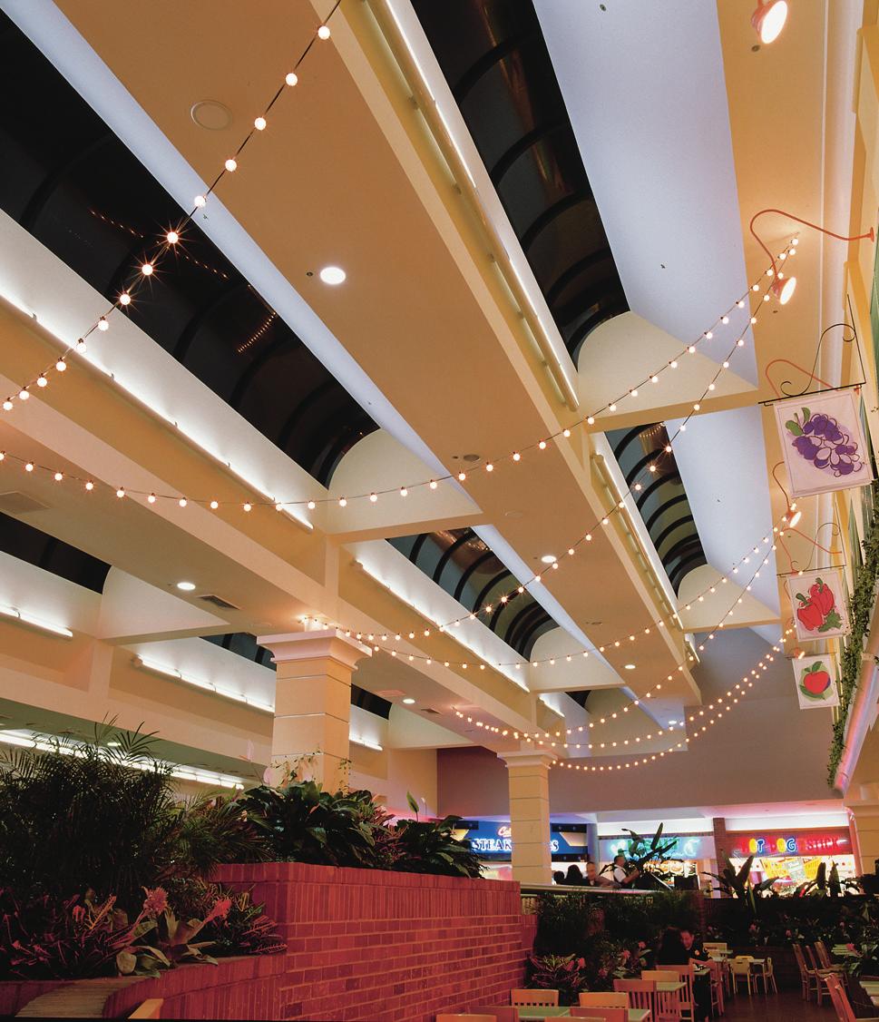 Exhibitor TM T okistar Exhibitor Series is a wet-location festoon lighting system used in amusement parks,