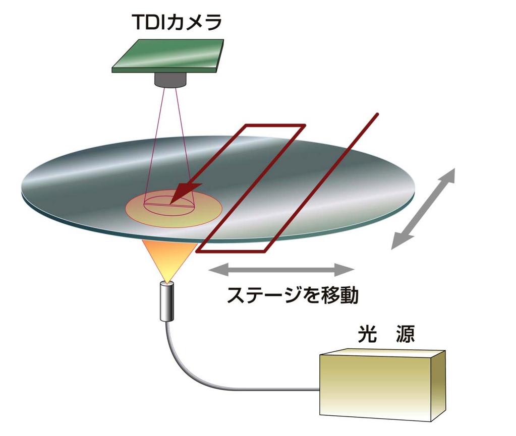 Semiconductor - Wafer Defects/Voids TDI
