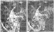 the third dimension (vertical exaggeration) in stereoscopic images). To get a scale of 1: 20,000 you fly at 10,000 ft. with a six inch focal length lens; but at 20,000 ft.