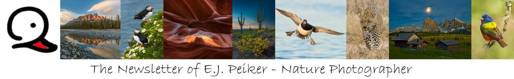 Spring 2016 - Vol. 14, Issue 2 All contents 2016 E.J. Peiker Welcome