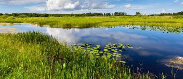 U.S. Department of the Interior restoration projects: Tamiami Trail Next Steps project: Road-raising component Tamiami Trail has acted as a dam to the natural Everglades north to south flow of water