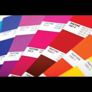 What does PANTONE do for me?