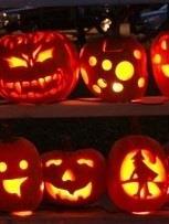 Gourd-like orange fruits inscribed with ghoulish faces and illuminated by candles are a sure sign of the Halloween season.