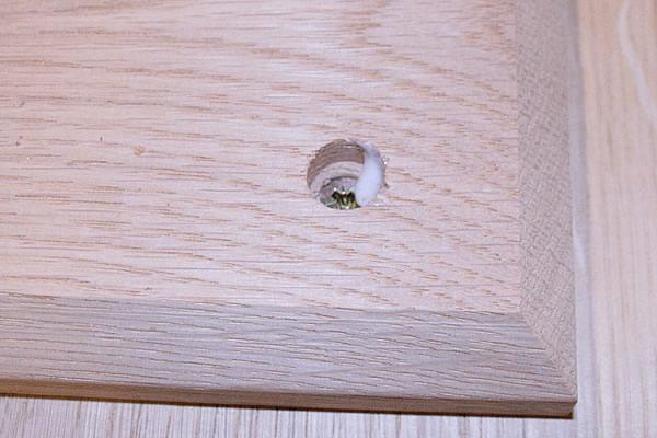 7. Fit The Oak Plugs Apply a pea-sized blob of PVA glue to