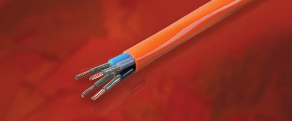 FR - 100 Fire Resistant Power Cables APPLICATION This cable is specially designed for areas where integrity of electrical circuit is critical to maintain the power supply.