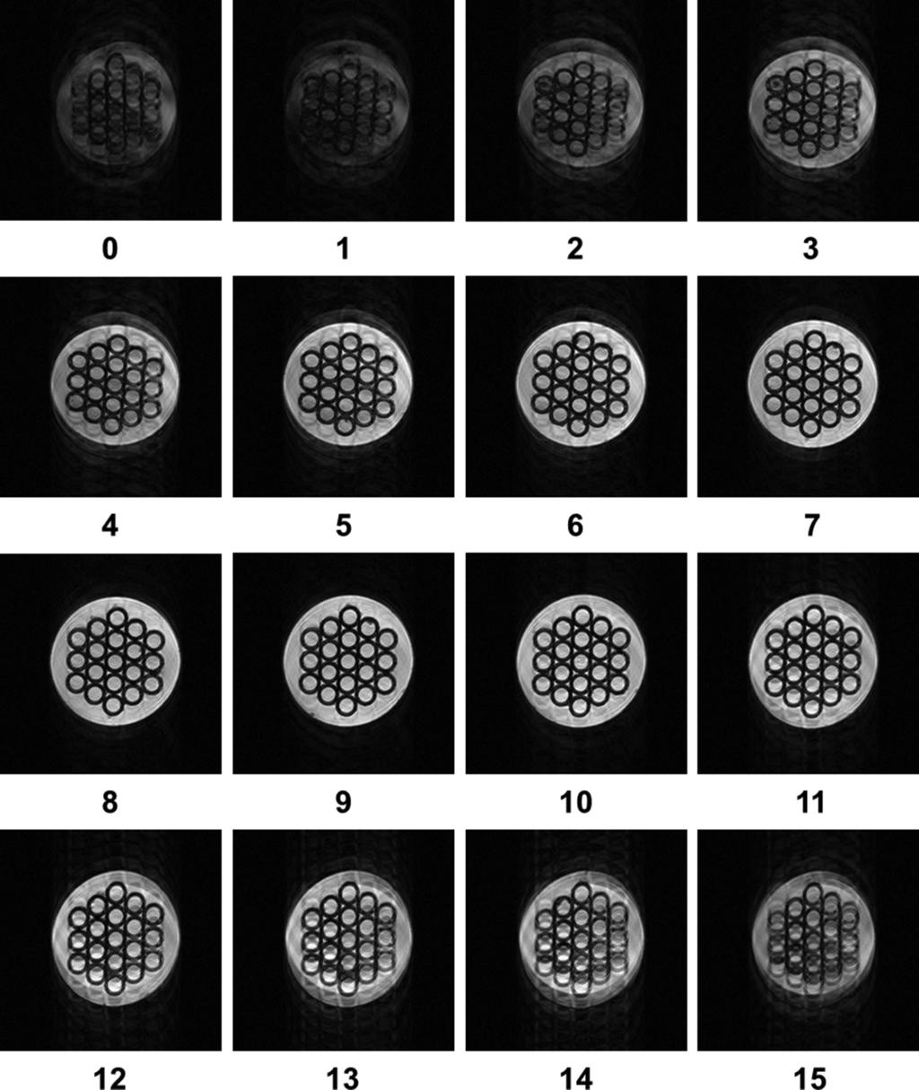 8 N. Kodama et al. Fig. 8. Image dataset of the water phantom acquired with the multishot 3D EPI sequence for a 256 256 16 pixel image.