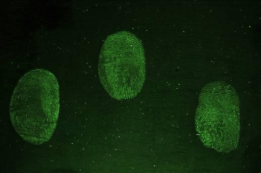 Figure 5: PolyCyano UV treated fingerprints