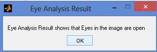 Eye analysis result IV.