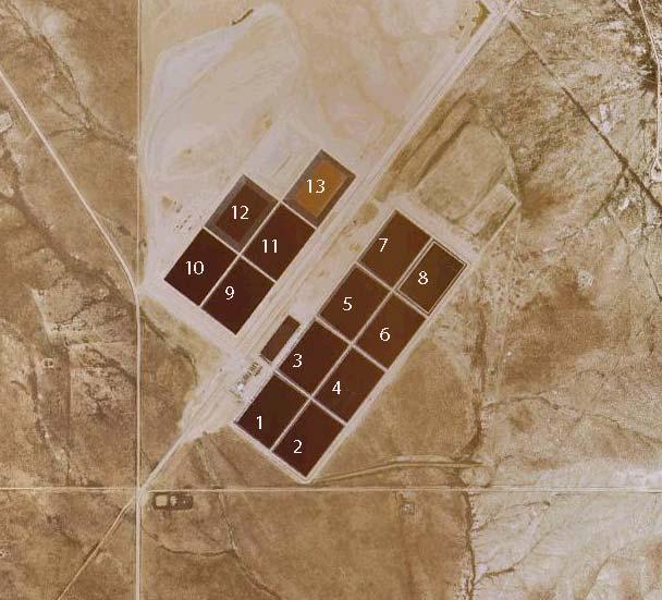 Figure 1. Danish Flats Environmental Services waste treatment facility north of Cisco, UT, with pond numbers (Google Earth image, 2010).