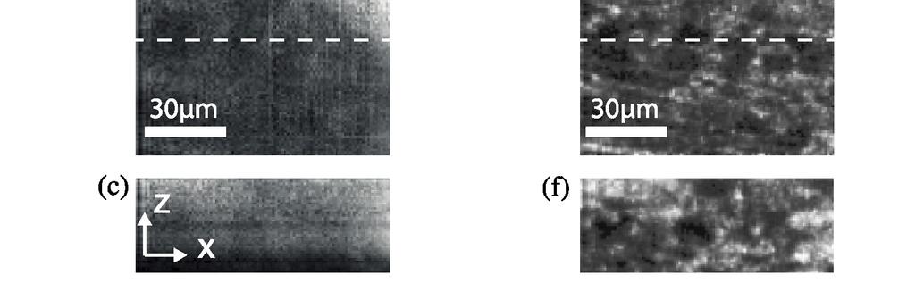 (c) (d) and (e) Images corresponding to (a), (b) and (c) respectively, obtained with pinhole filtering.