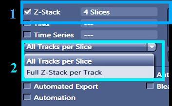 Scanning a Z-Stack 1. Check the Z-Stack box in the main tools area 2. Choose preference scanning mode 3. Open the Z-Stack tool panel by clicking on the Z-Stack tab 4.