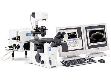Laser Scanning Confocal Laser Scanning