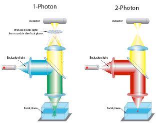 Photon Excita6on There
