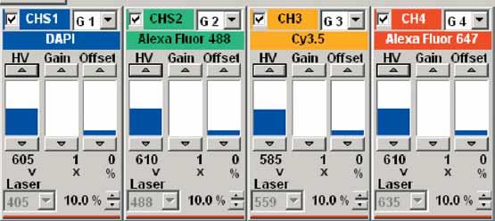 Configurable Emission Wavelength Select the dye name to set the optimal filters and laser