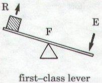 First Class Lever The (fixed pivot point) is located between the and the Forces.