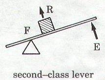 2 nd Class Levers The is between the effort and the