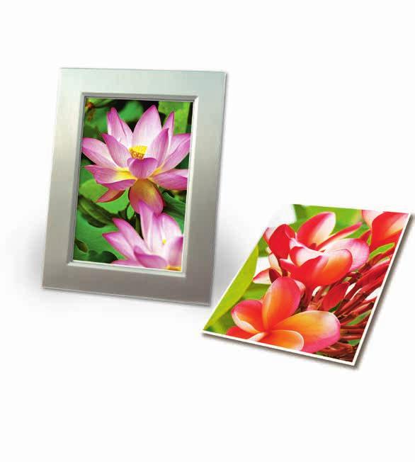 INKJET PHOTO PAPER Convincing quality from the market leader: inkjet photo paper from Classic to Premium Premium Superior Classic Professional quality for the highest demands, e.g. portraits and close-ups.