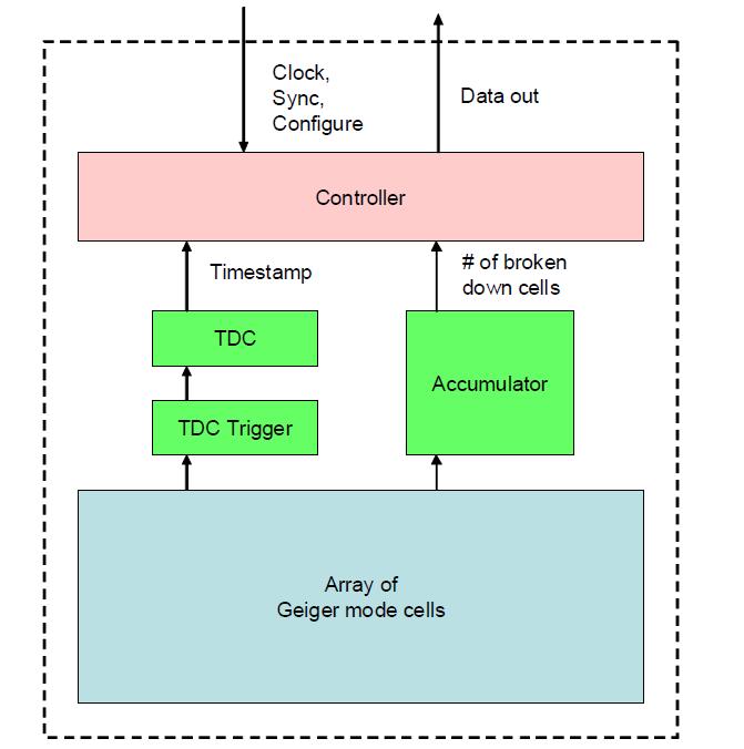 Digital SiPM Sensor Architecture Operating frequency: 200MHz 2 x TDC (bin width 23ps, 9bit) Configurable trigger network Validation logic