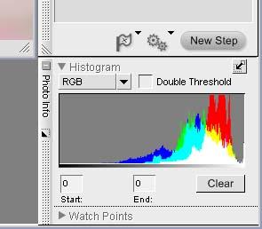 Enlarging the histogram With Capture NX Ver. 1.1, the histogram can be enlarged for easier viewing. Click the button at the top right of the Photo Info palette to enlarge histogram display.