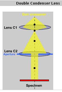 Second condenser lens C2 C2 is adjusted the focus to produce an image of gun crossover at the front focal plane of the upper objective polepiece, and then generate a broad parallel beam of electron