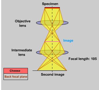 Objective aperture Change focal strength SAD aperture Intermediate lens The first intermediate lens magnifies the initial image that is formed by the objective lens.
